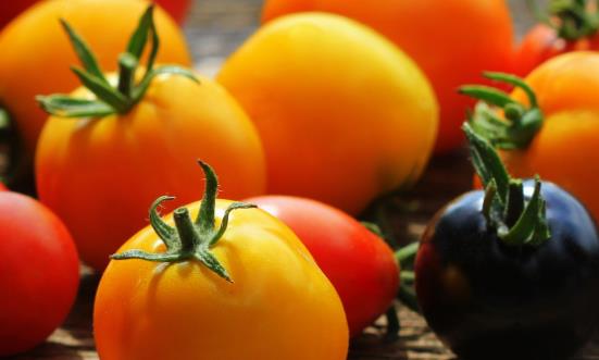 番茄红素行业市场价格 番茄红素行业市场产量分析