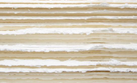 2023中国浆纸行业充满挑战和机遇