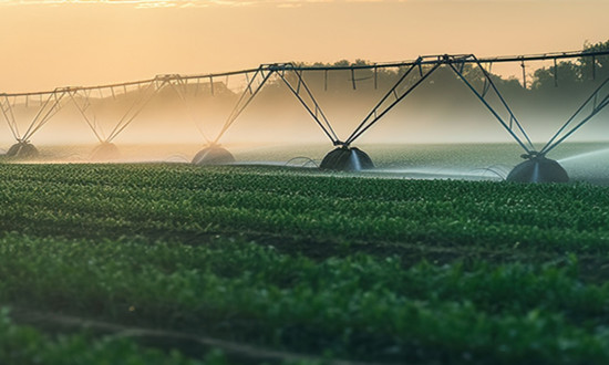 农业循环经济行业发展态势 农业循环经济行业战略前景