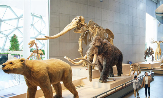 科普教育基地行业发展现状及未来前景规划