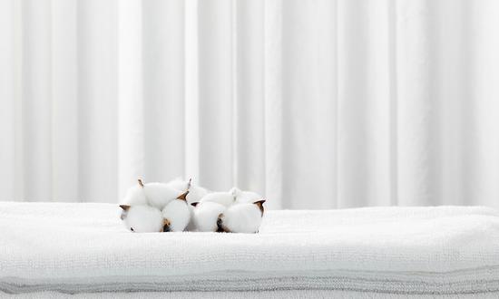 2023产业用纺织品行业前景投资及发展趋势预测