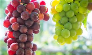 中国富硒农产品行业市场消费现状 中国富硒农产品行业市场投资价值评估