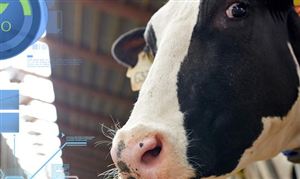 生物育种行业市场规模 生物育种行业应用前景分析