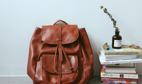 2023年国内双肩包行业发展趋势分析