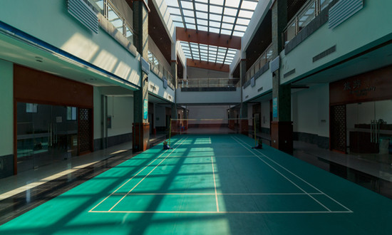 羽毛球馆行业现状及羽毛球馆市场发展态势分析