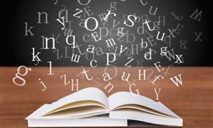 2023中国IP行业前景与IP市场调研分析报告