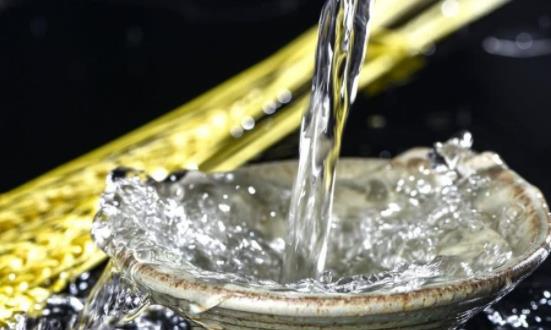 2023白酒市场发展展望 米香型白酒行业深度调研及投资分析