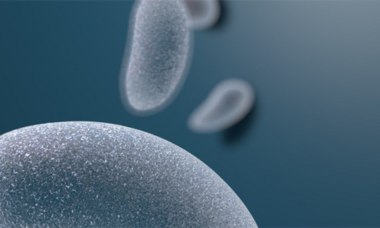 单细胞测序行业市场容量及发展潜力分析