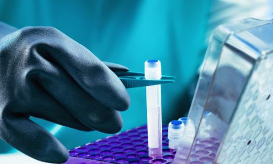 2023紫杉醇原料药行业前景与市场需求分析