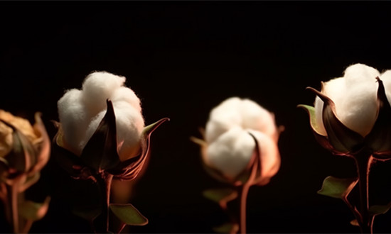 中国棉纺织行业再生纤维素纤维应用情况调研分析