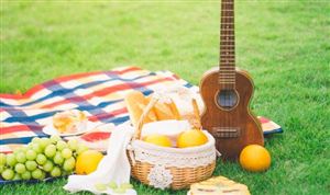 研学旅行项目市场需求 2023研学旅行项目可行性研究