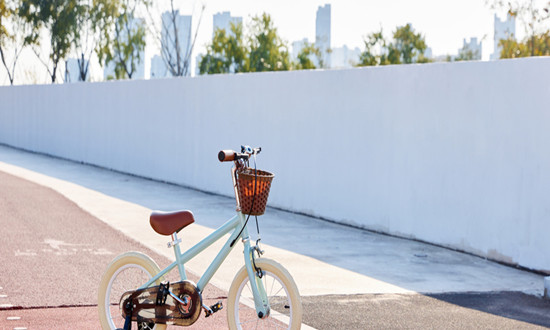 儿童单车行业市场深度分析及儿童单车行业前景