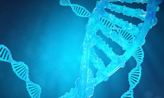 单细胞测序行业发展现状 单细胞测序行业投资前景