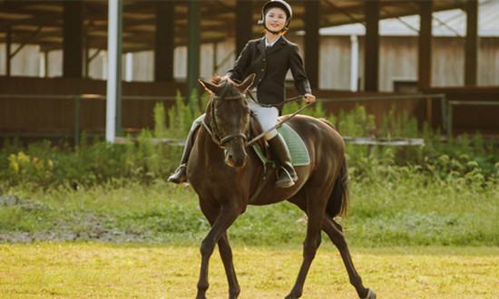 马术俱乐部行业市场发展态势及前景研究
