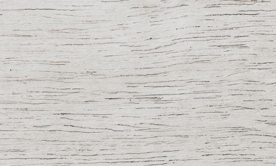 2023年中国装饰原纸市场投资前景分析