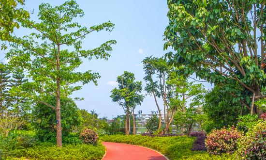 道路绿化工程市场分析 2023道路绿化工程行业市场发展预测