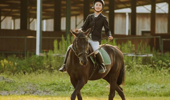 2023年马术俱乐部产业发展现状分析