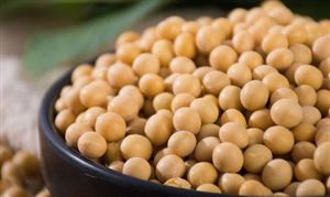 2023大豆行业发展前景及深度调研分析