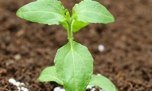 2023新型肥料行业发展现状及前景分析