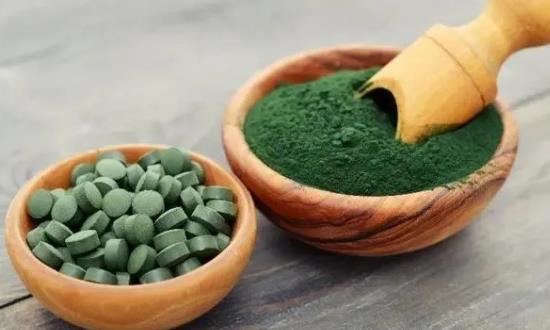 微藻生物燃料细分市场发展 微藻生物燃料行业发展前景投资分析2023