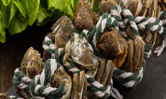 河蟹养殖行业发展前景及河蟹养殖行业企业分布现状