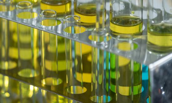 油料加工机械市场预测研究 2023油料加工机械行业的投资分析