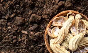 中国有机肥料行业产量 中国有机肥料行业市场需求分析