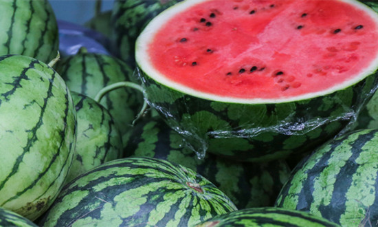 太空西瓜行业现状及未来前景如何