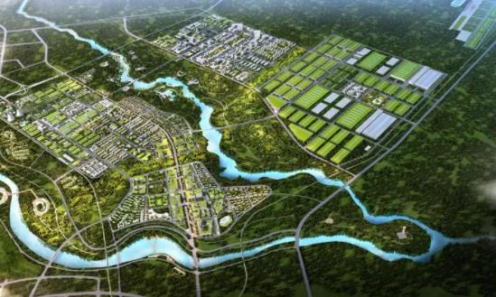 区域产业规划市场深度调研 区域产业规划发展机会投资方向 