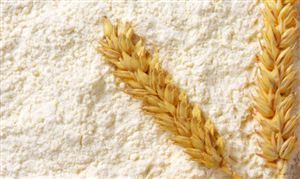 中国小麦淀粉行业调研及市场现状分析2023