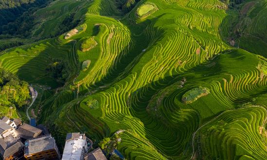 中国特色农业旅游行业消费需求 中国特色农业旅游行业发展趋势预测