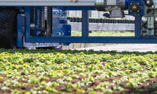 2023绿化苗木行业竞争格局及发展现状趋势分析