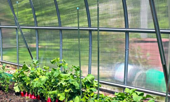 聚碳酸酯(PC)行业市场需求 聚碳酸酯(PC)行业供需趋势分析