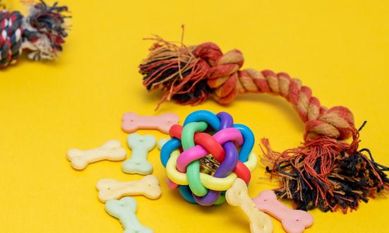 2023宠物卫生用品市场现状及前景分析