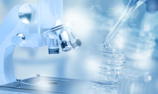 分子育种行业调研与发展趋势预测2023