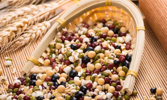 谷物饲料行业市场需求情况分析2023