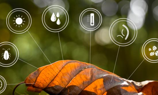 微生物肥料行业市场运行态势