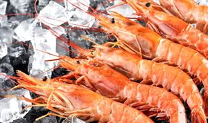 2023年海鲜行业市场发展环境分析