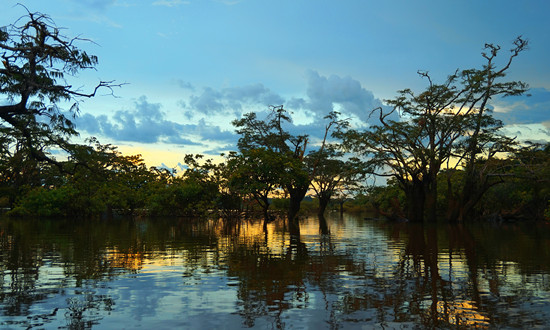 “山水工程”完成生态保护修复面积超500万公顷 流域生态修复行业市场现状分析