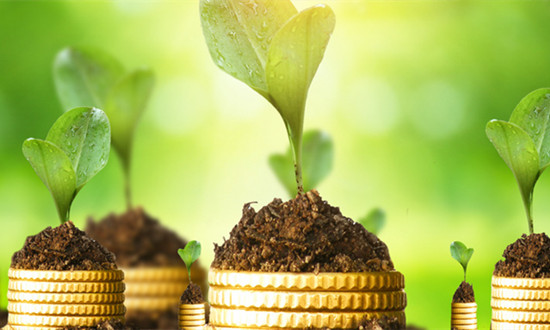 环境金融行业市场态势及投资战略