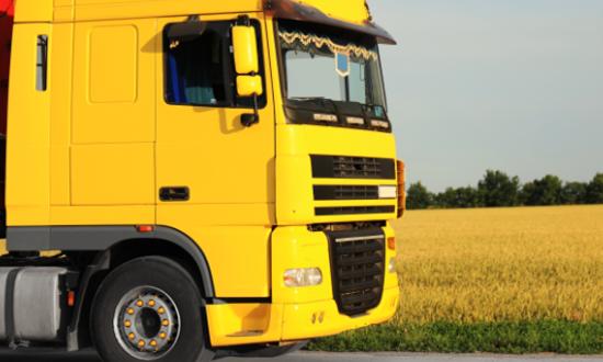 2023粮食现代物流市场前景与未来现状分析