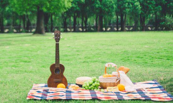 2023野餐用品市场现状及前景分析