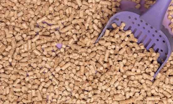 2023猫砂行业现状及市场竞争格局分析