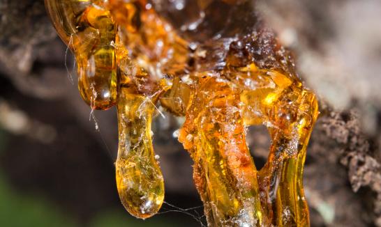 2023年中国合成树脂行业市场全面分析