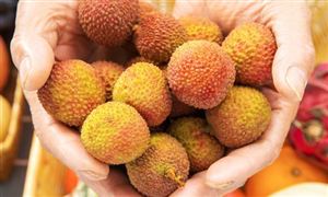 中国特色农产品行业发展现状分析 中国特色农产品行业投资前景预测