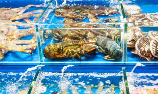 2023水产品流通市场发展现状及前景分析