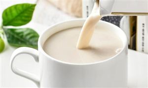 2023年豆奶市场投资前景分析