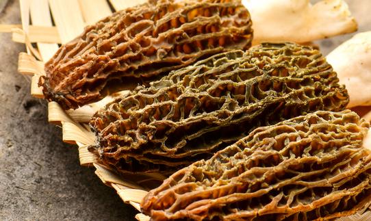 2023年羊肚菌种植产业发展现状