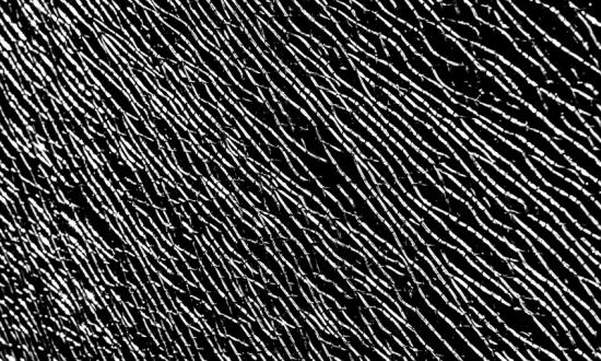 2023钢铁金融行业市场深度调研及投资前景分析