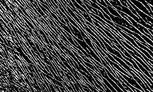 2023钢铁金融行业市场深度调研及投资前景分析